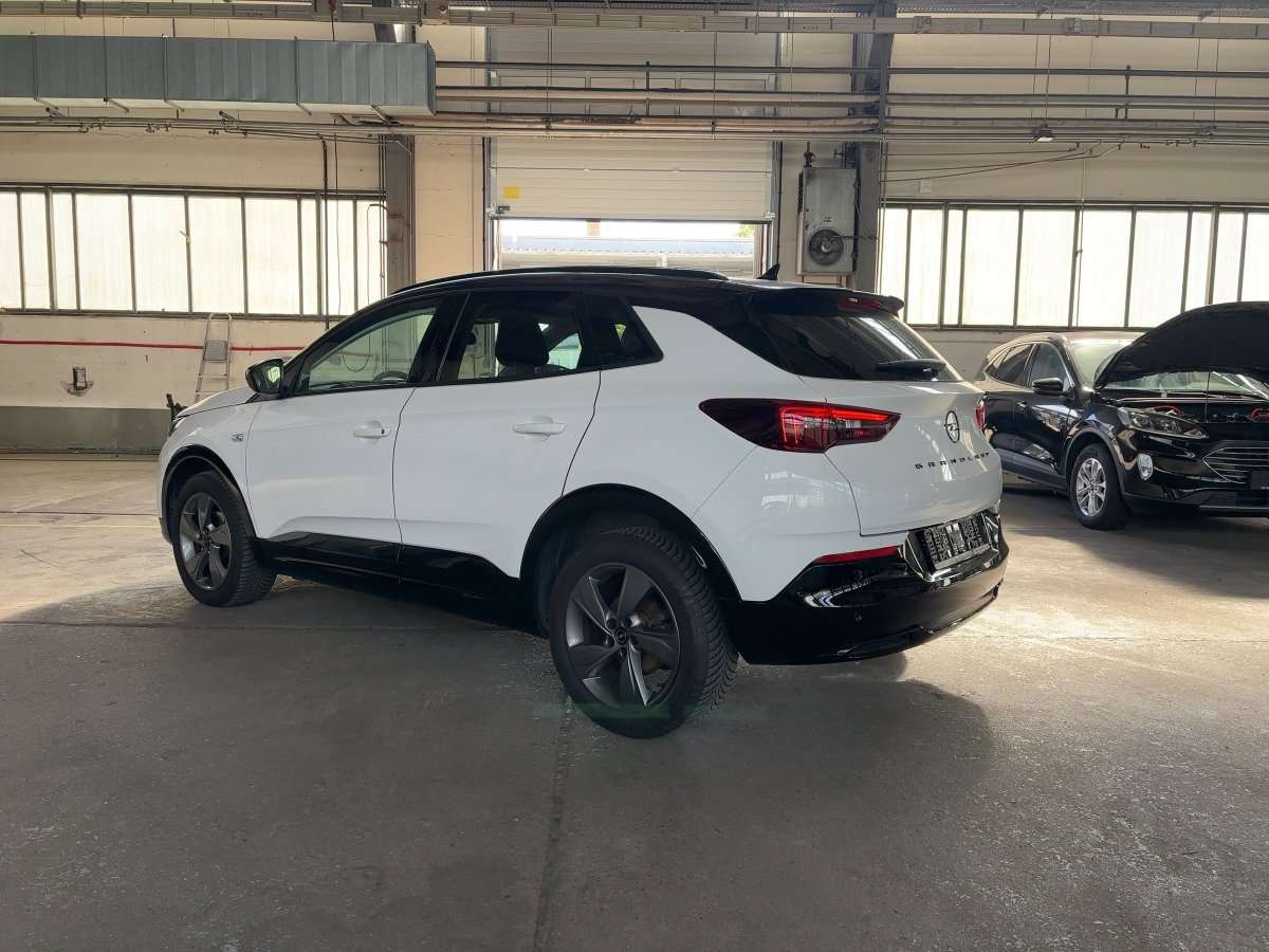 Fahrzeugbild eines Opel Grandland X