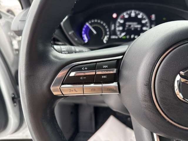 Fahrzeugbild eines Mazda MX-30