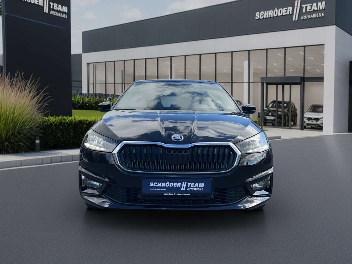 Fahrzeugbild eines Skoda Fabia