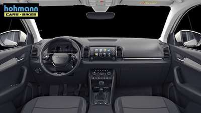 Bild Skoda Karoq