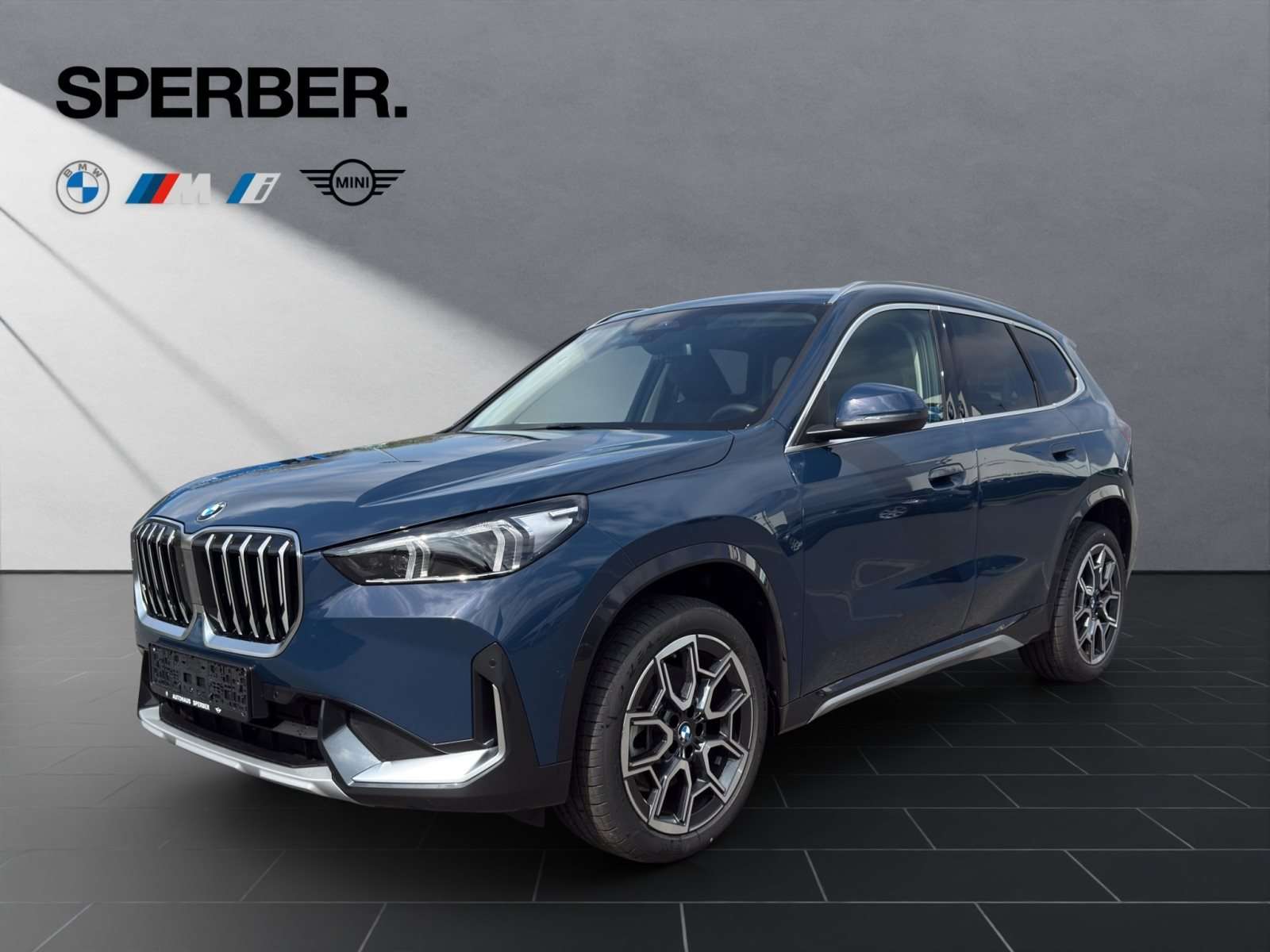 Fahrzeugbild eines BMW X1