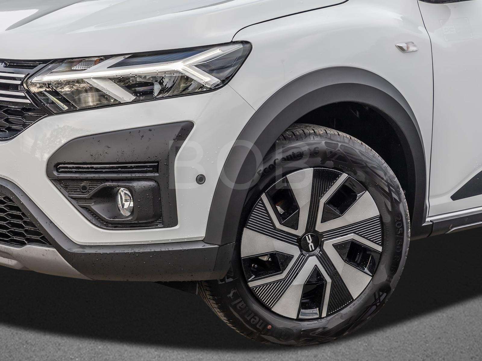 Fahrzeugbild eines Dacia Sandero