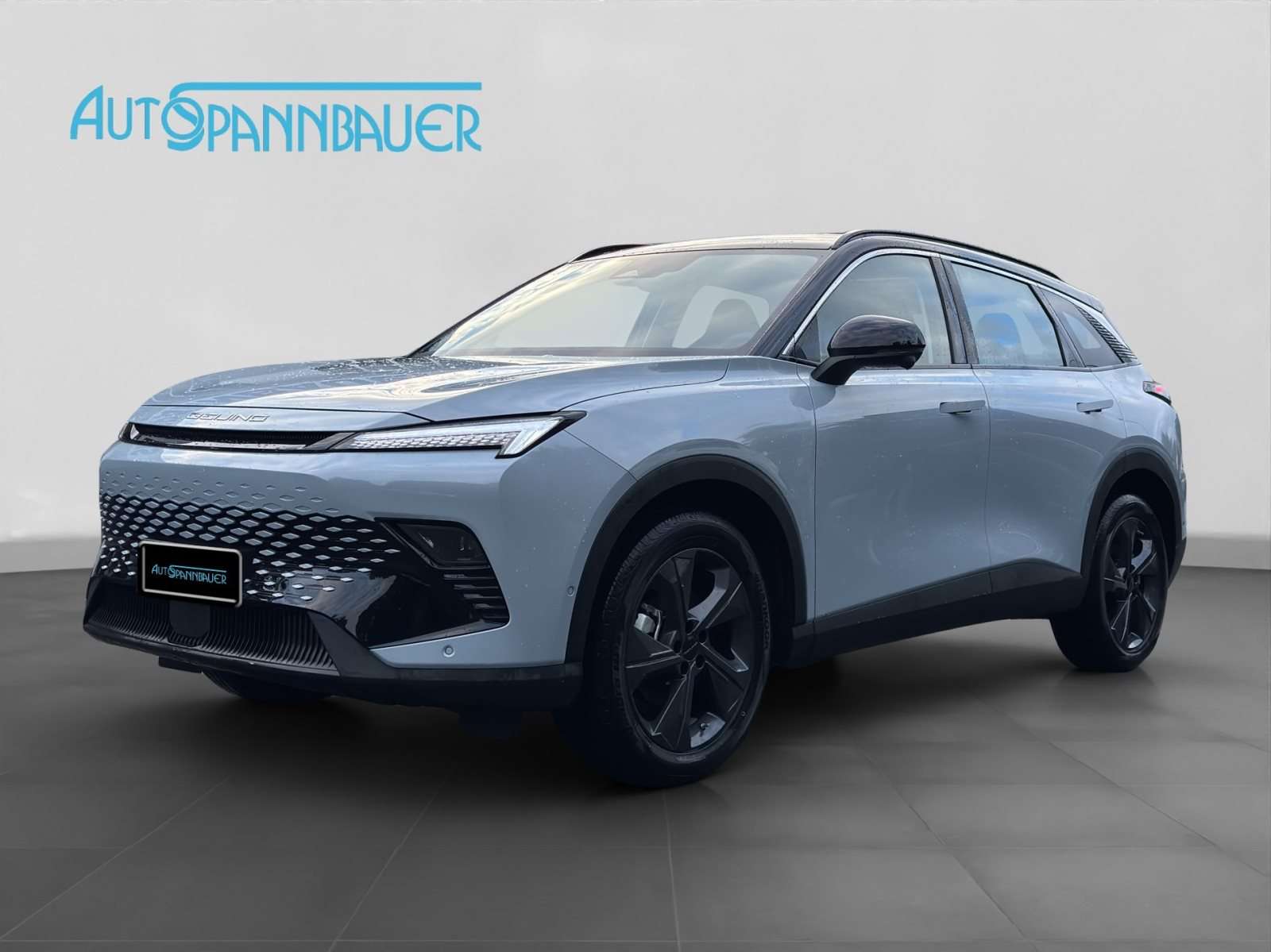 Fahrzeugbild eines BAIC X55