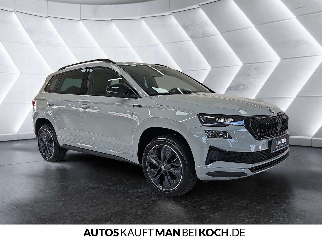 Fahrzeugbild eines Skoda Karoq