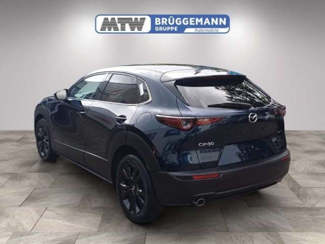 Fahrzeugbild eines Mazda CX-30