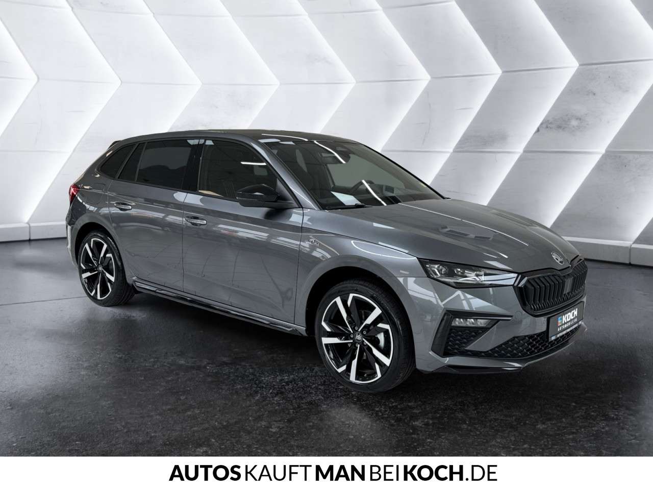 Fahrzeugbild eines Skoda Scala