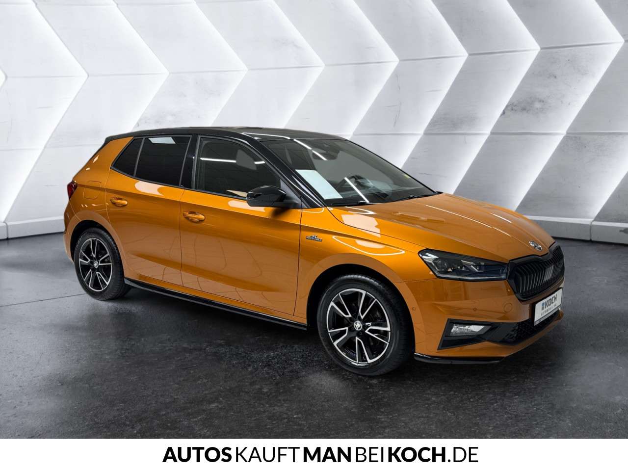 Fahrzeugbild eines Skoda Fabia