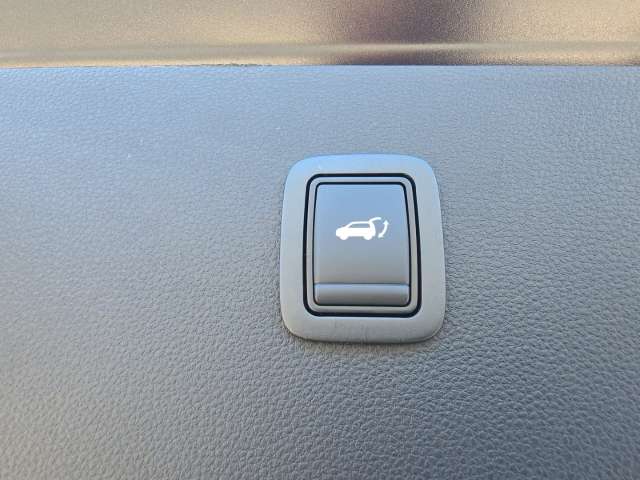 Fahrzeugbild eines Dacia Bigster