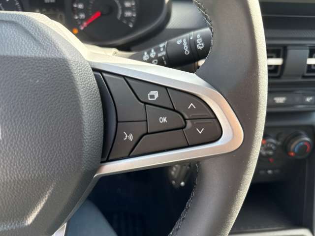 Fahrzeugbild eines Dacia Sandero