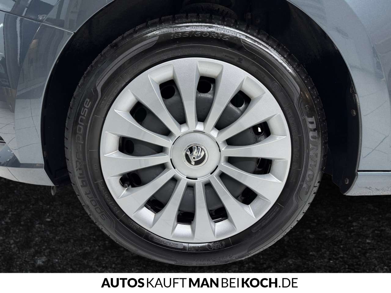 Fahrzeugbild eines Skoda Fabia