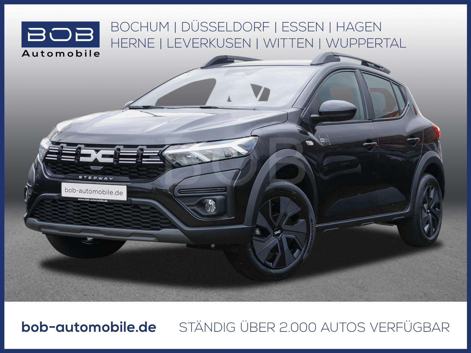 Fahrzeugbild eines Dacia Sandero