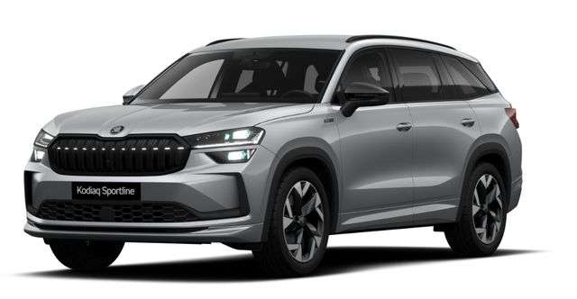Fahrzeugbild eines Skoda Kodiaq