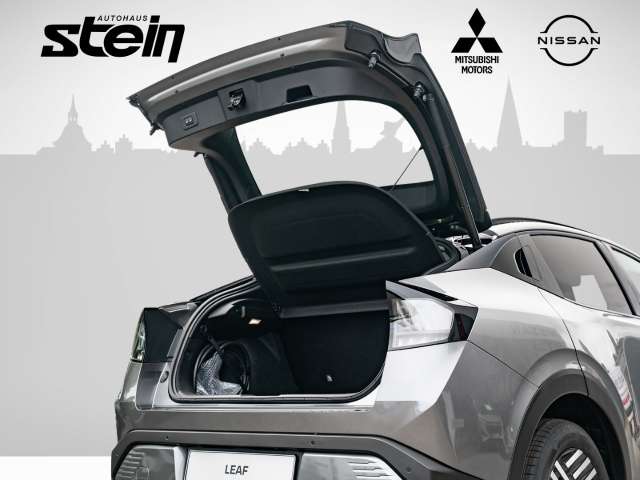 Fahrzeugbild eines Nissan Leaf