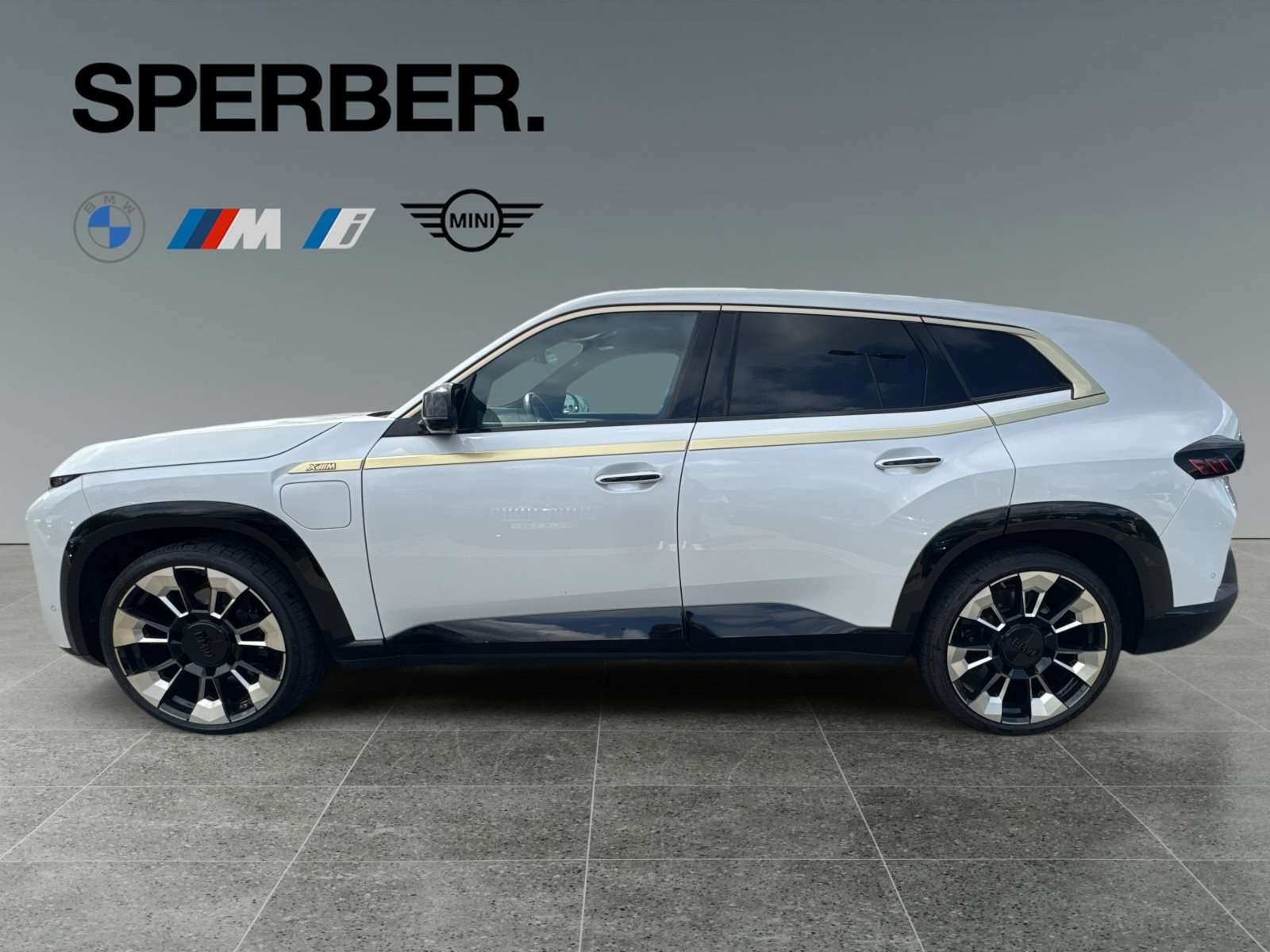 Fahrzeugbild eines BMW XM