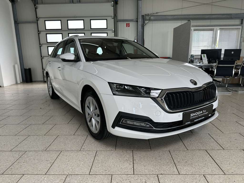 Fahrzeugbild eines Skoda Octavia