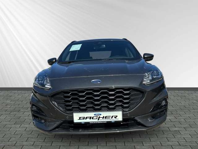 Fahrzeugbild eines Ford Kuga