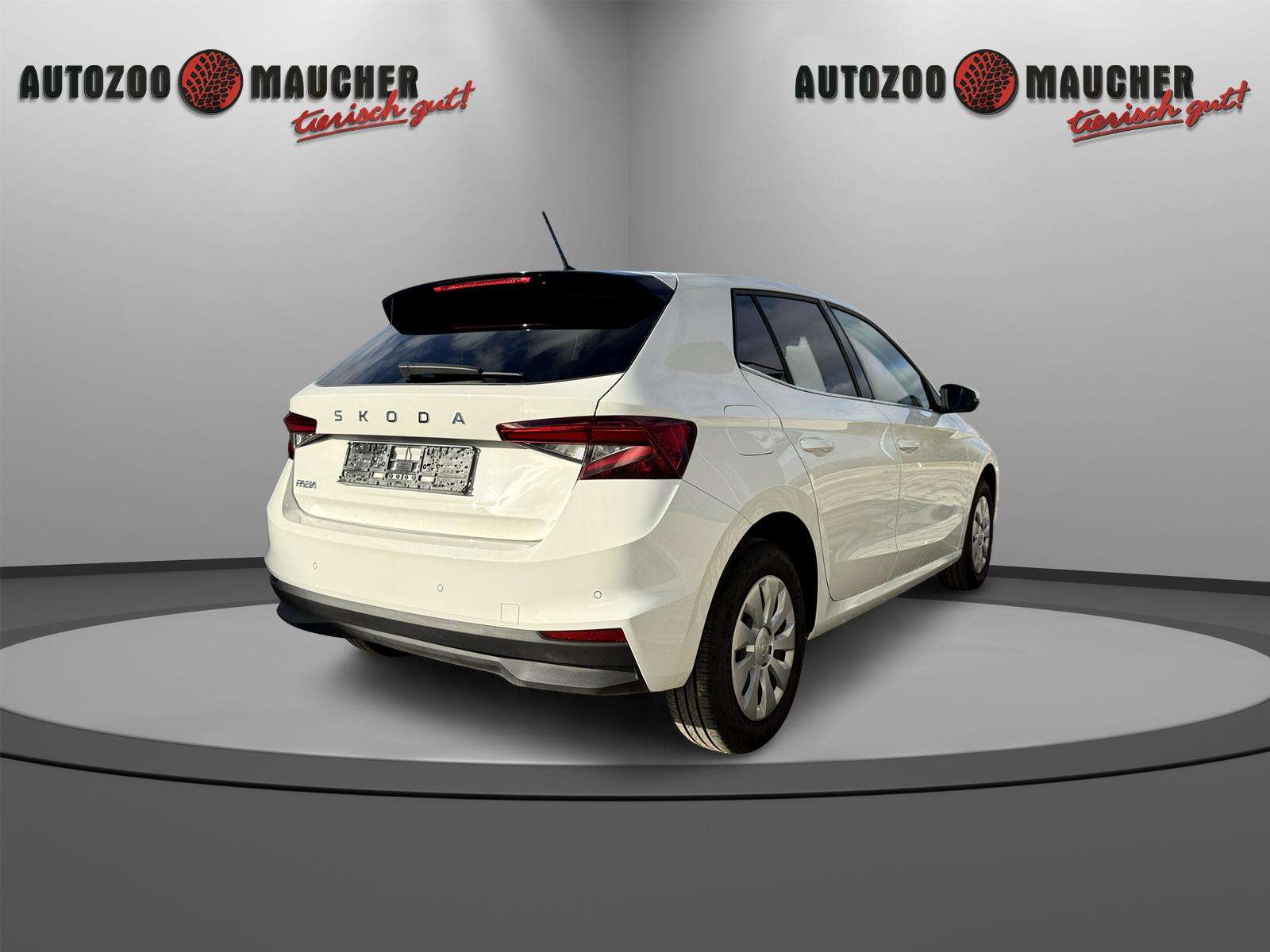 Fahrzeugbild eines Skoda Fabia