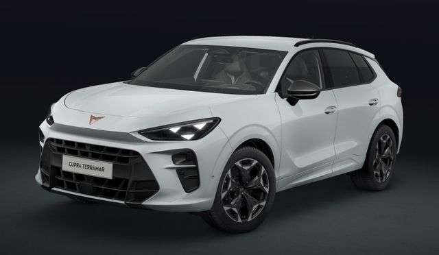 Fahrzeugbild eines CUPRA Terramar