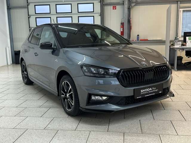 Fahrzeugbild eines Skoda Fabia