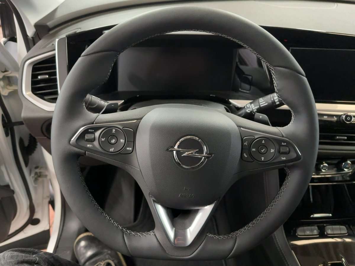 Fahrzeugbild eines Opel Grandland X