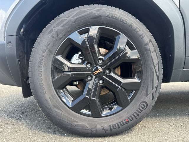 Fahrzeugbild eines Dacia Duster