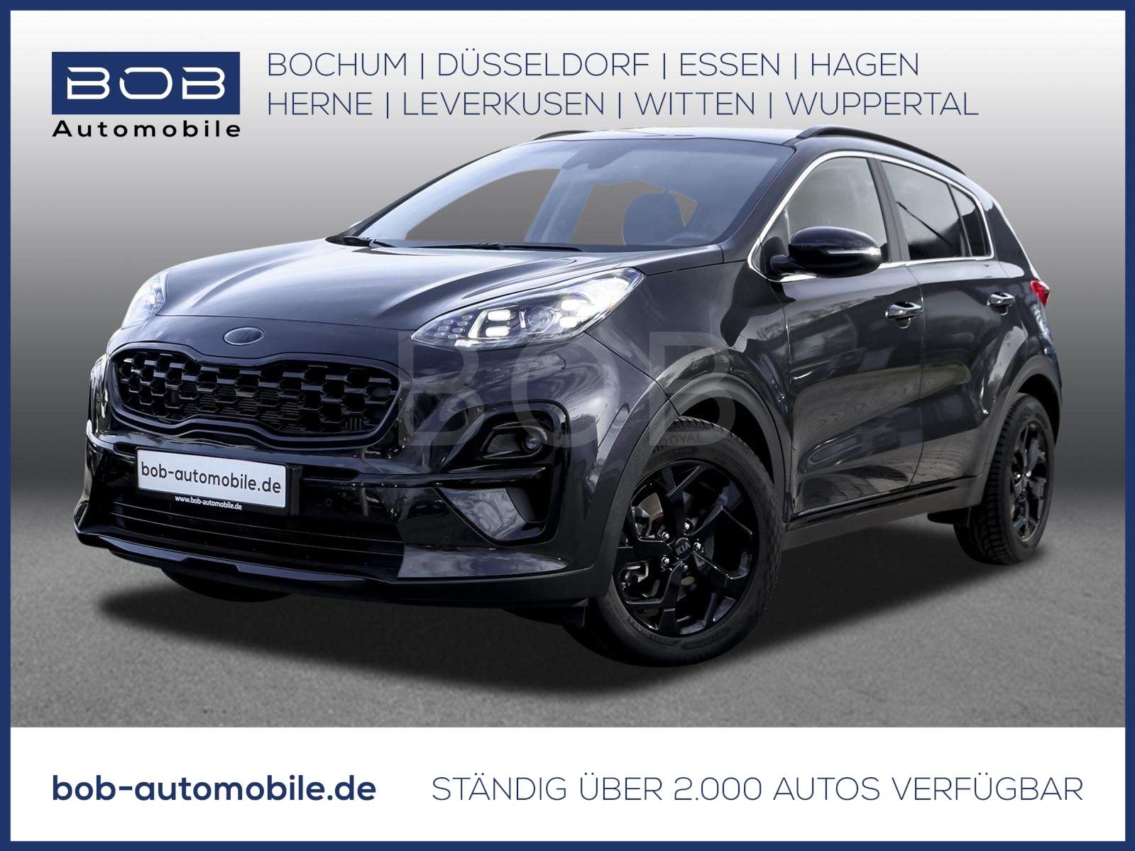 Fahrzeugbild eines Kia Sportage