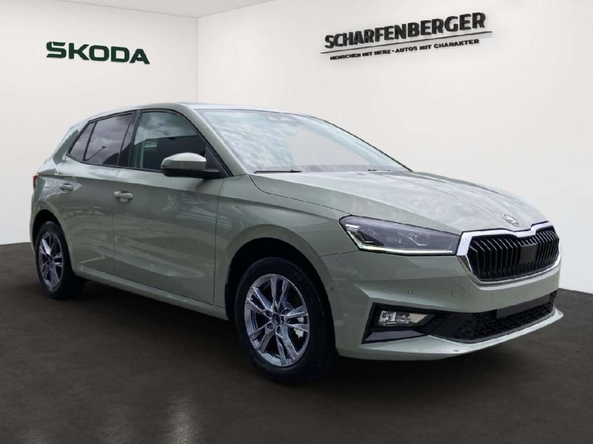 Fahrzeugbild eines Skoda Fabia