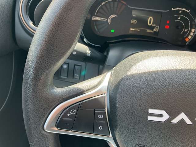 Fahrzeugbild eines Dacia Spring