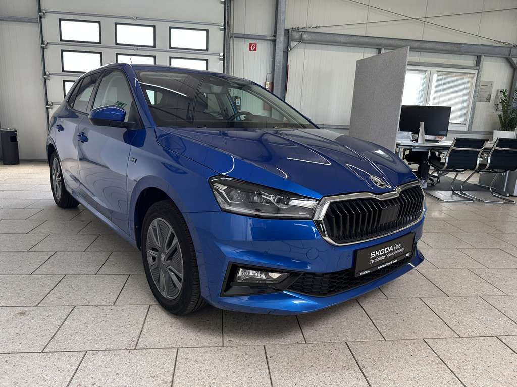 Fahrzeugbild eines Skoda Fabia