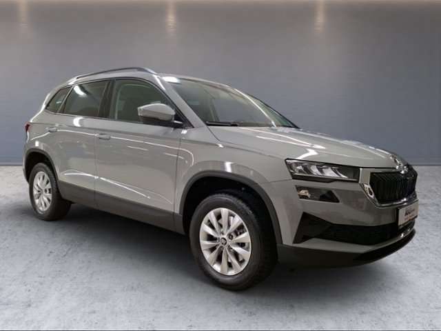 Fahrzeugbild eines Skoda Karoq