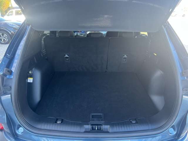 Fahrzeugbild eines Ford Kuga