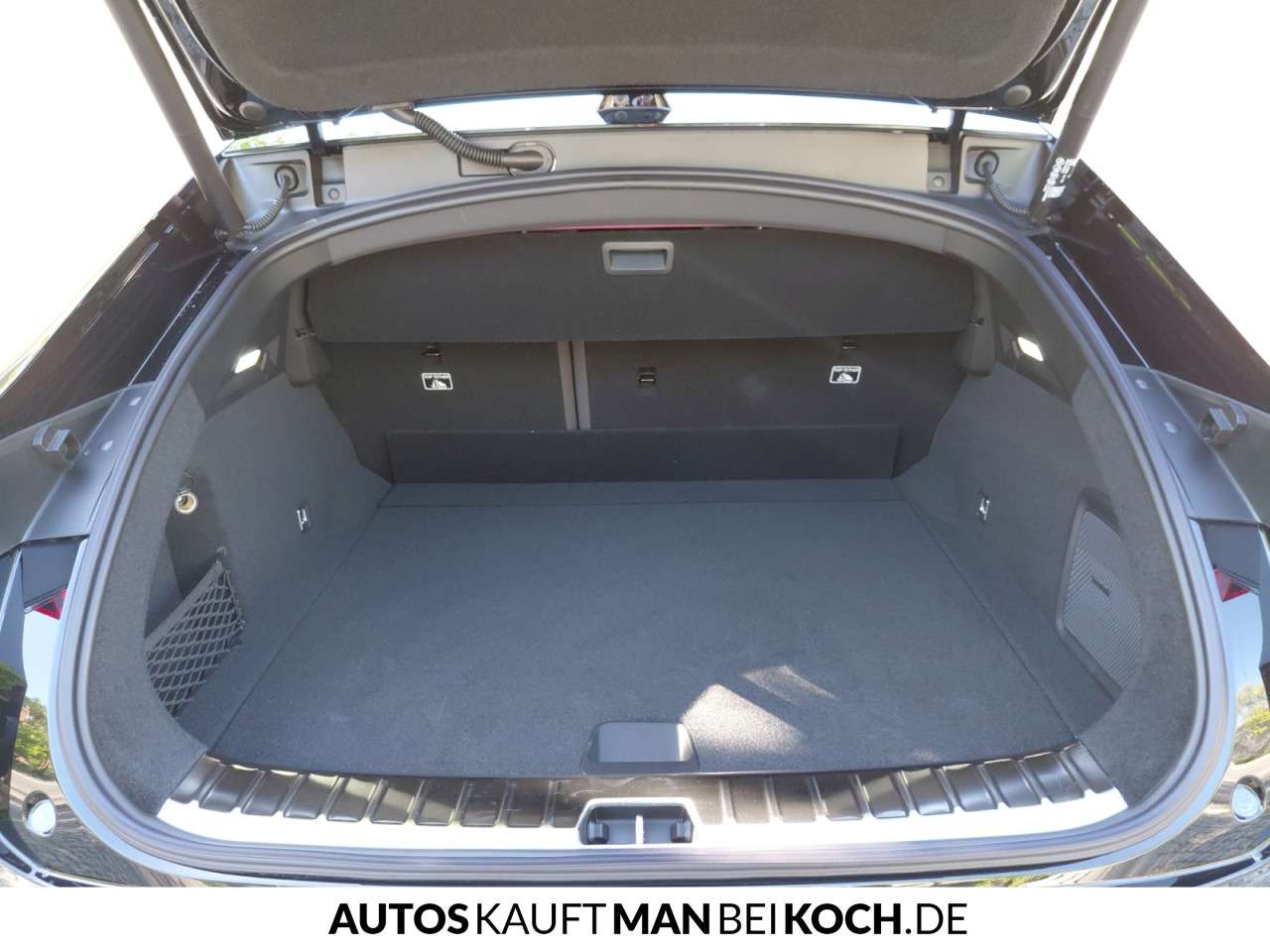 Fahrzeugbild eines Polestar 4