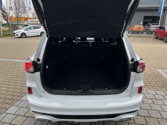 Fahrzeugbild eines Ford Kuga