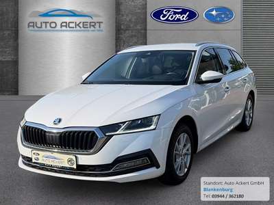 Bild Skoda Octavia
