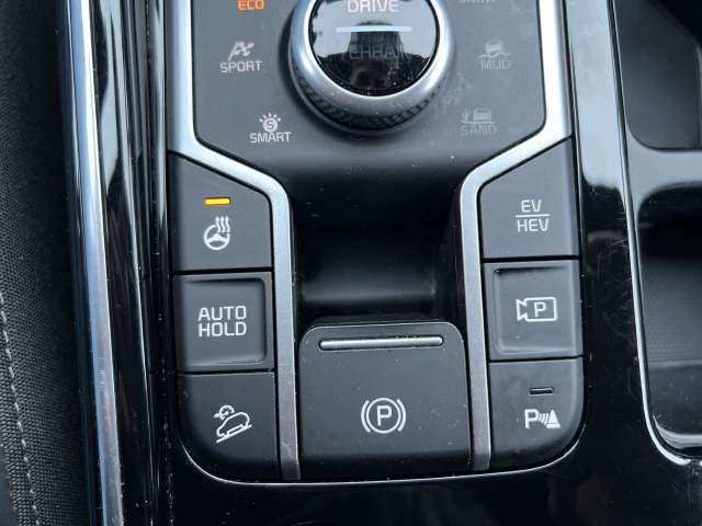 Fahrzeugbild eines Kia Sorento