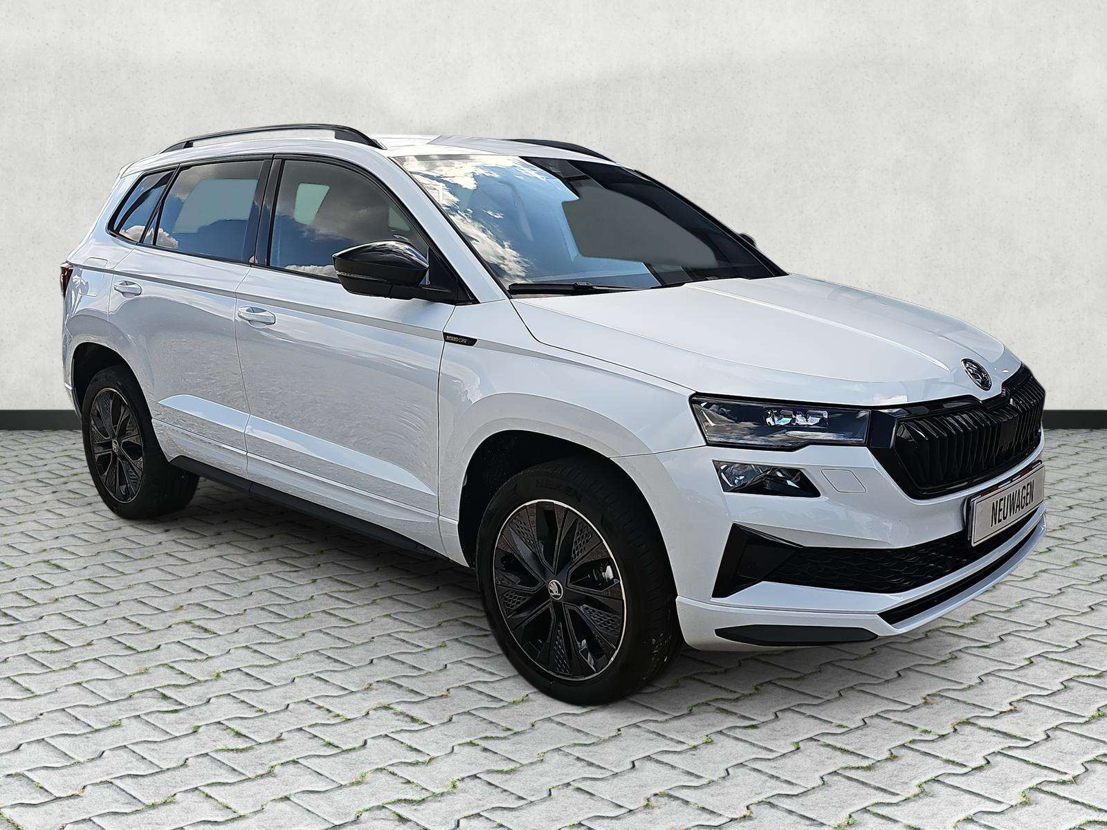 Fahrzeugbild eines Skoda Karoq