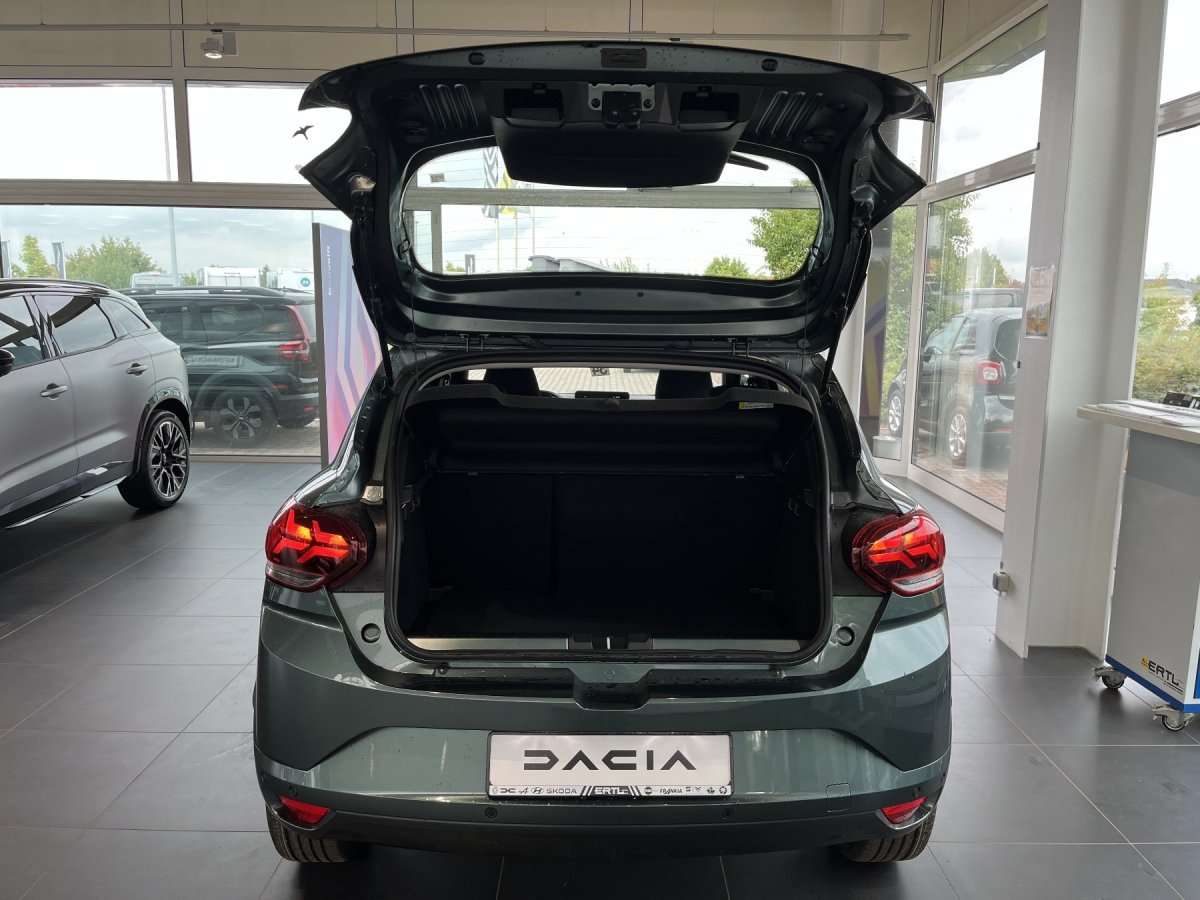 Fahrzeugbild eines Dacia Sandero