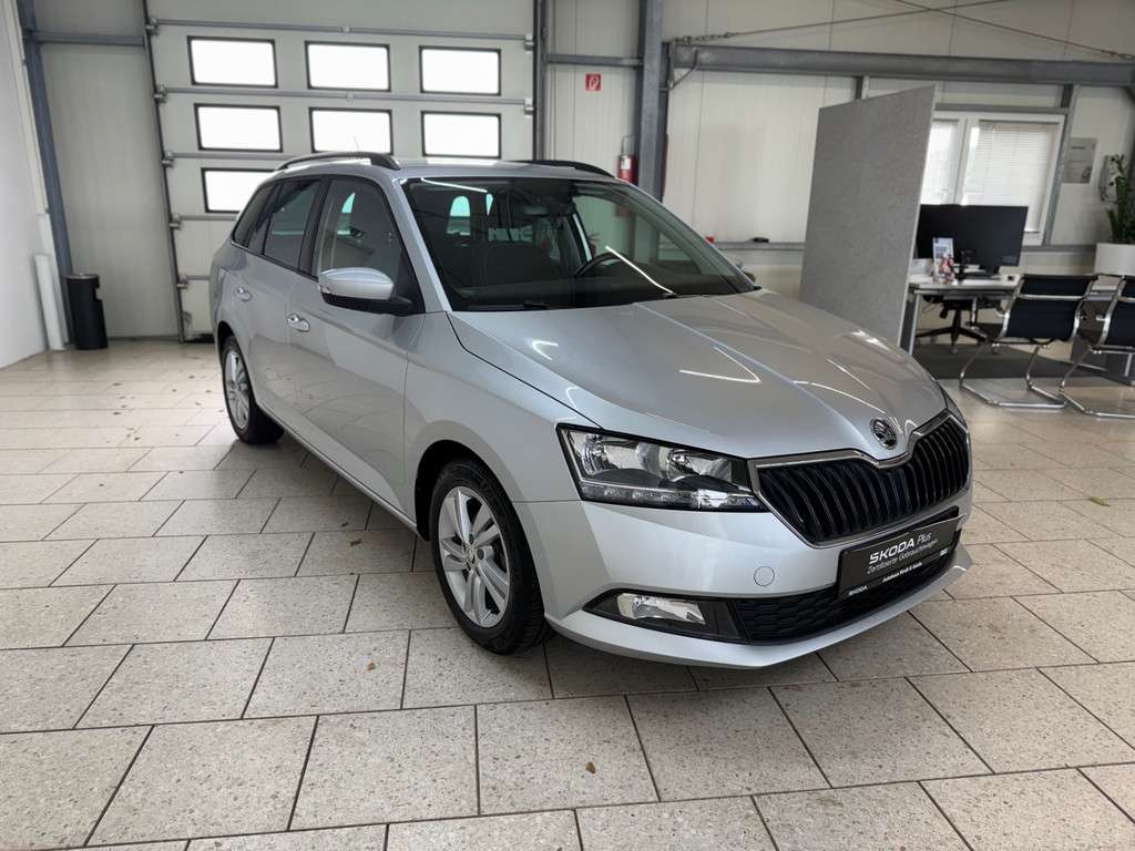 Fahrzeugbild eines Skoda Fabia