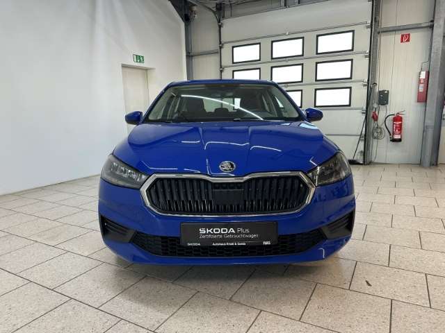 Fahrzeugbild eines Skoda Fabia