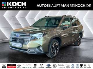 Schräge Frontansicht auf einen Subaru Forester , freigestellt