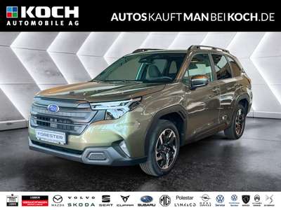Bild Subaru Forester