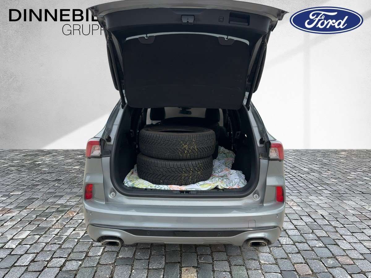 Fahrzeugbild eines Ford Kuga