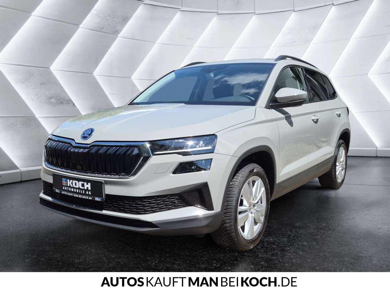 Fahrzeugbild eines Skoda Karoq