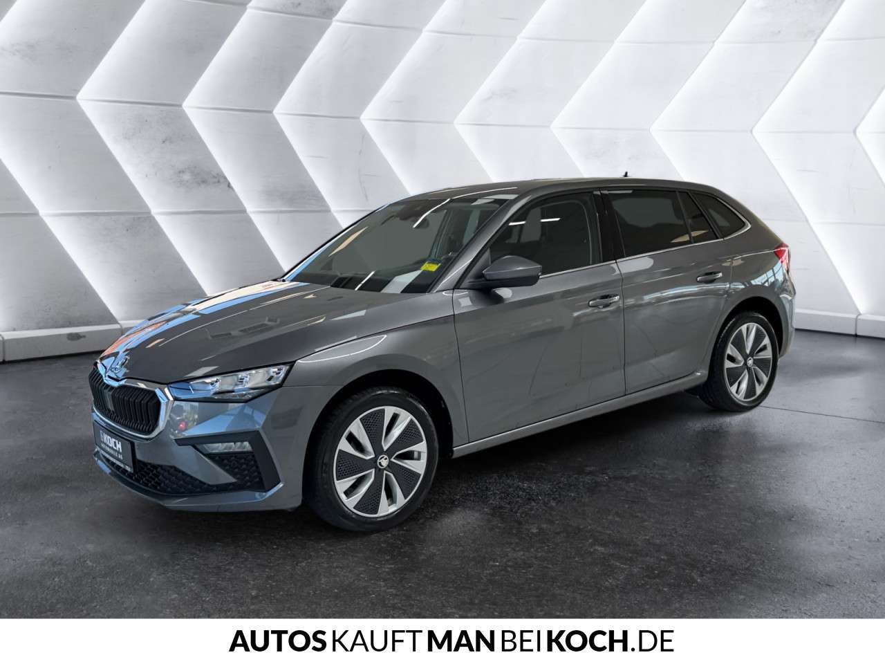 Fahrzeugbild eines Skoda Scala