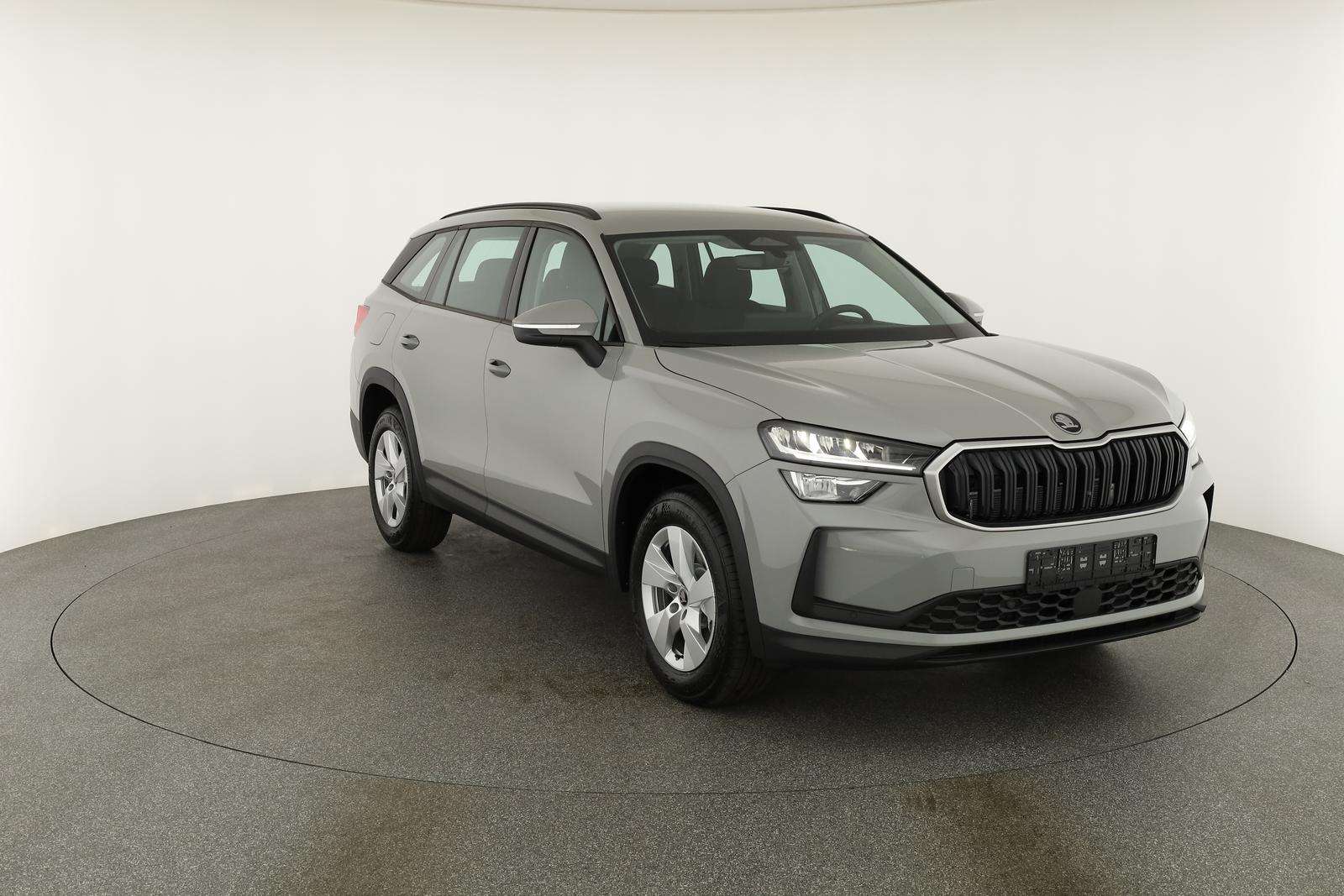 Fahrzeugbild eines Skoda Kodiaq