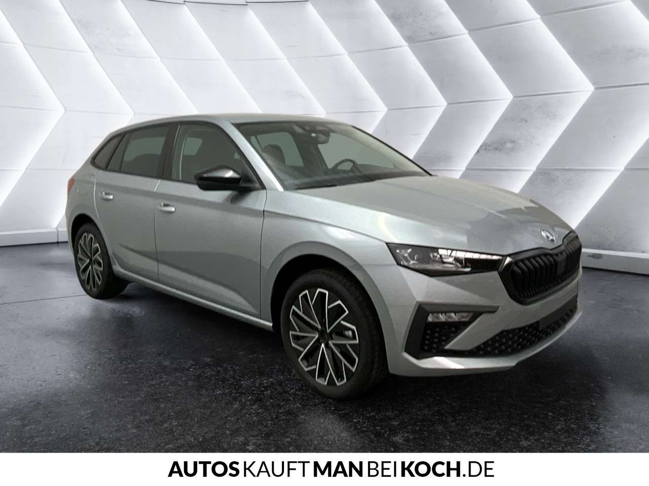 Fahrzeugbild eines Skoda Scala
