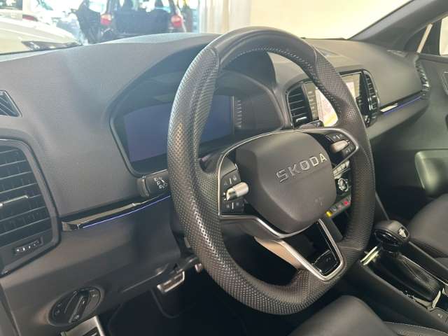 Fahrzeugbild eines Skoda Karoq