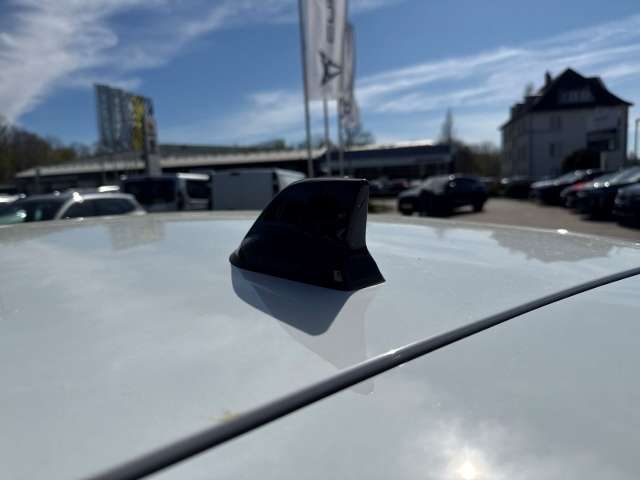 Fahrzeugbild eines Dacia Sandero