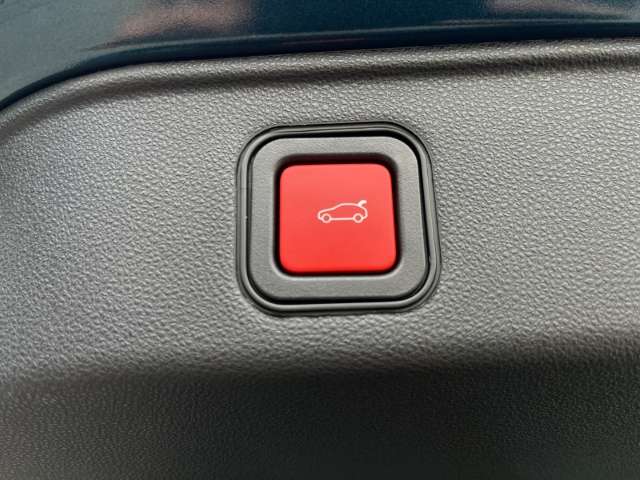 Fahrzeugbild eines Alfa Romeo Junior