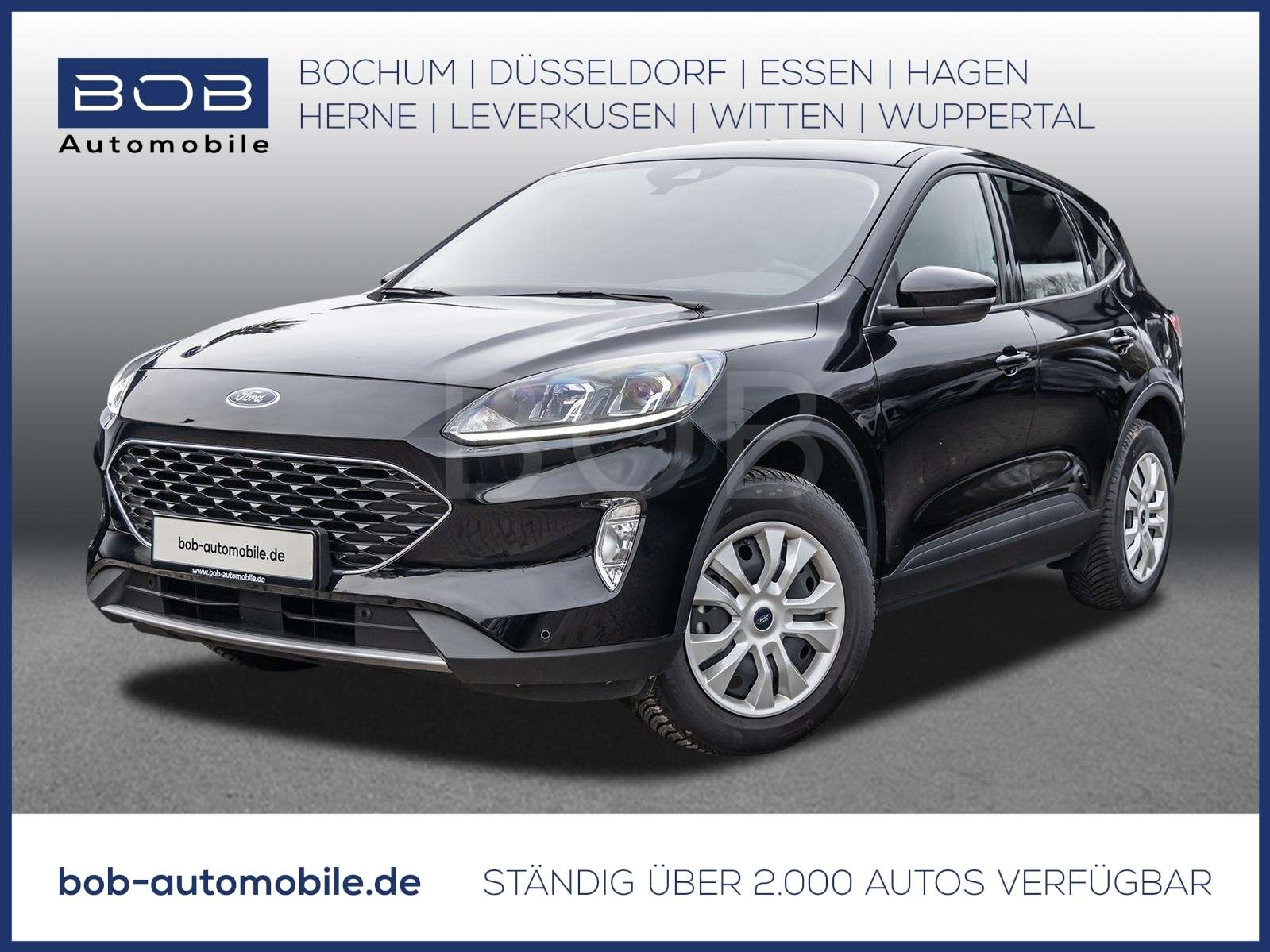 Fahrzeugbild eines Ford Kuga